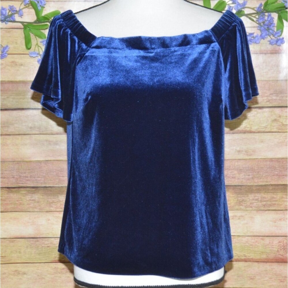 White House Black Market Bright Blue Velvet Blouse Top Size S Holiday Party